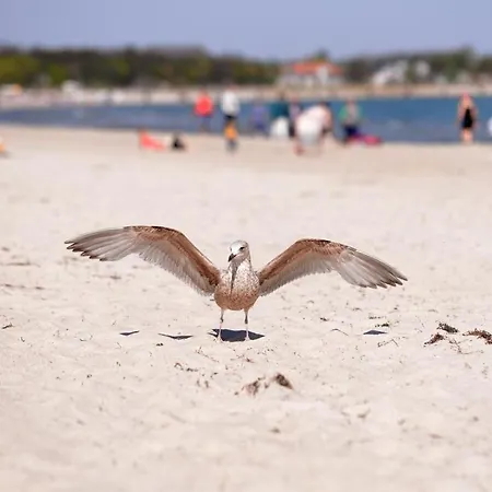 Apartment Seebach Whg S23 Boltenhagen (Ostseebad)