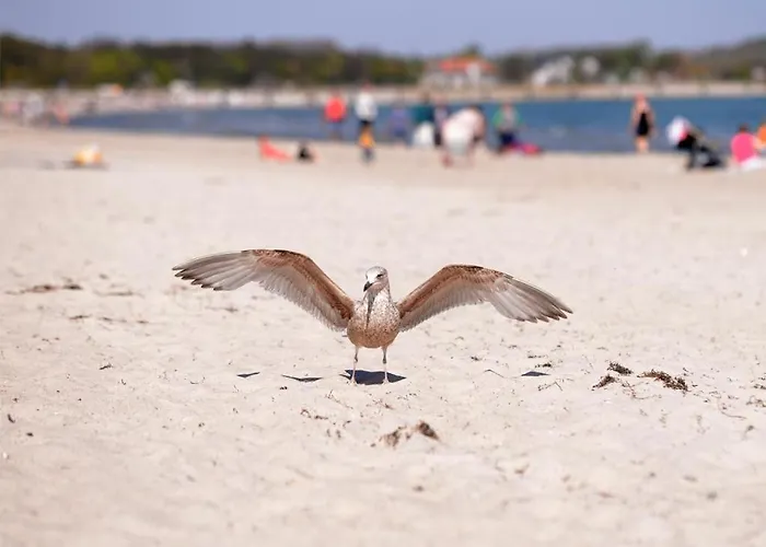 דירה Seebach Whg S23 בולטנהאגן